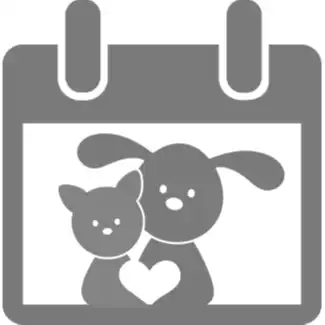 DNN Performance Optimization